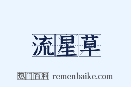 流星草是什么意思的图片